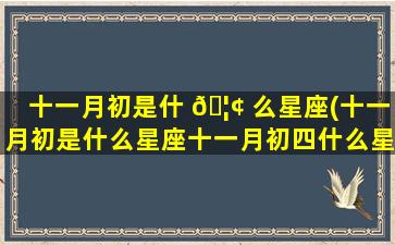 十一月初是什 🦢 么星座(十一月初是什么星座十一月初四什么星座)